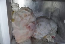 Detienen a sujeto que contaba con 40 kilos de carne producto de abigeato en Fresia