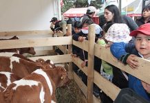 Ya inició Sagofisur 2016