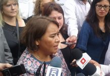 Directora Nacional Sename critica bajas penas a imputados por abuso sexual en Puerto Montt