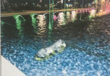 Antisociales vuelven a lanzar figura del pesebre a pileta en Osorno