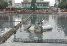 Antisociales lanzaron figuras del pesebre navideño a pileta en #Osorno