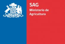 Funcionarios del SAG a nivel nacional llegan a acuerdo y deponen llamado a paro