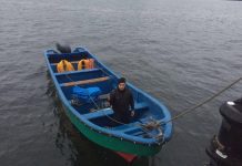 Armada incauta especies en áreas de manejo en Maullín