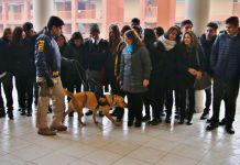 PDI lanza campaña para combatir el micro tráfico de drogas en #PuertoMontt