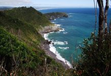 INJUV invita a jóvenes a participar de programa “Vive tus Parques”