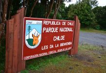 Antisociales roban más de $6 millones desde parque Nacional de Chiloé