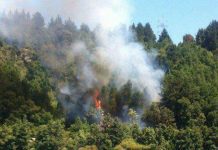Incendios forestales de Antilhue controlados pero continúa alerta roja para #Valdivia