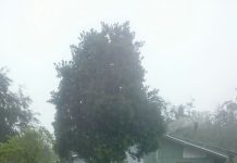 Seis familias evacuadas por desbordamiento de Río Blanco en sector Cascadas