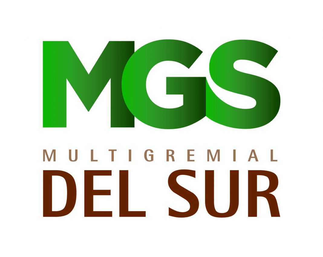 MGS Logo