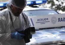 PDI encuentra cadáver que podría ser de alercino extraviado