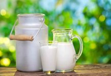 Odepa: Se suspende la Cumbre Mundial de la Leche 2021 en Puerto Varas, Chile