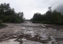 257 personas aisladas en ruta Ensenada – Petrohué