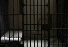 Reo escapó desde celda en la comuna de Freire