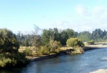 Empresa acusada de daños en rio Rahue – Cancura opera bajo las normas exigidas