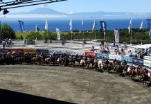 Resultados finales del Clasificatorio de #Rodeo Zona Sur #Frutillar 2017