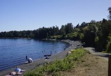 Veraneantes dan cuenta de inexistencia de baños en playa de Puerto Chalupa – Puyehue