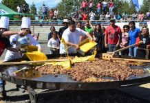 Río Negro presentará muestra de gallina mapuche, única en el mundo en poner huevos azules