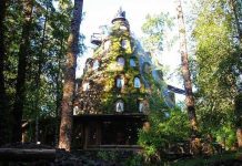 Delincuentes roban 3 millones de pesos desde complejo turístico Huilo Huilo