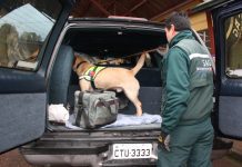 172 personas multadas por no declarar productos y tratar de ingresarlos por Cardenal Samoré en 2016