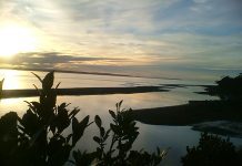 Lugareños de Chaitén temen posible contaminación del río Camahueto