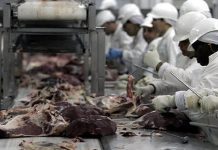 Seremi Salud regional intensificó fiscalizaciones por carnes brasileñas