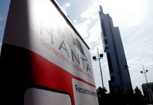 Hombre de Llanquihue contagiado con virus hanta permanece en estado grave