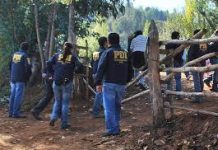 PDI confirmó que aún se encuentran realizando diligencias tras la desaparición del joven puertomontino en la comuna de Hualaihué