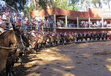 Resultados Clasificatorio Repechaje de Rodeo en Pemuco