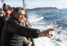 Ex subsecretario de Pesca Raúl Súnico declaró como imputado en Fiscalía regional