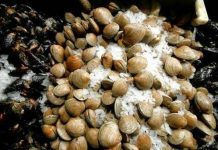 Autoridad sanitaria llamó al auto cuidado por consumo de mariscos