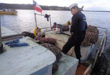 Semana Santa: Intensan fiscalizaciones en puertos, caletas, carreteras y locales comerciales