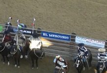 Los Rehbein de A. Llanquihue y Palena Campeones Nacionales en #Rodeo #Rancagua