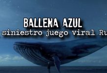 Especialistas se refieren a riesgos del reto de la ballena azul