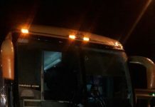 Terneros sueltos en carretera provocó accidente de tránsito en #Llanquihue.