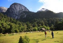 Violencia y consumo de alcohol problemas sociales de Cochamó