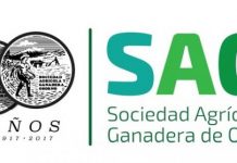 SAGO A.G está en proceso de renovación parcial de Directorio