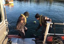 Dos muertos tras volcar embarcación en #Quellón