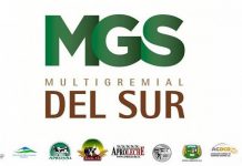 Multigremial del Sur se refiere a “autocenso” y rechazo a endurecimiento de Ley Antiterrorista