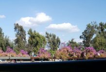 Resultados tercera jornada #Rodeo #Rancagua