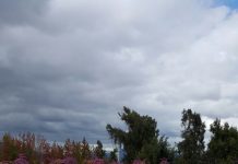 Resultados segunda jornada #Rodeo #Rancagua