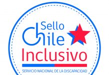 Senadis se muestra optimista ante avances en políticas públicas de inclusión