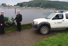 Plantas de marihuana fueron encontradas en costanera de #PuertoMontt