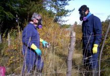 Parlamentario pide decretar alerta sanitaria en #Puyehue