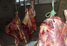 Tres detenidos en #CarreteraAustral por faenar vacunos de manera clandestina.