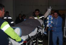 Falleció hombre oriundo de Puyehue que presentó contagio por virus hanta