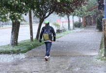 Onemi llama a trabajar en conjunto para hacer frente a emergencias por lluvias