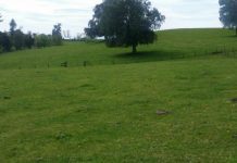 Corte Suprema da increíble giro a juicio de agricultor de #Osorno con Pilmaiquén SA