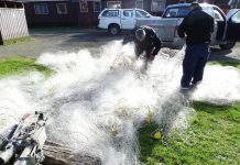 Sernapesca y Armada encontraron más de 400 metros de red en Lago #Llanquihue