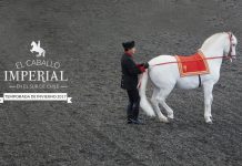 #Panoramas región de Los Lagos desde el 16 al 23 de junio