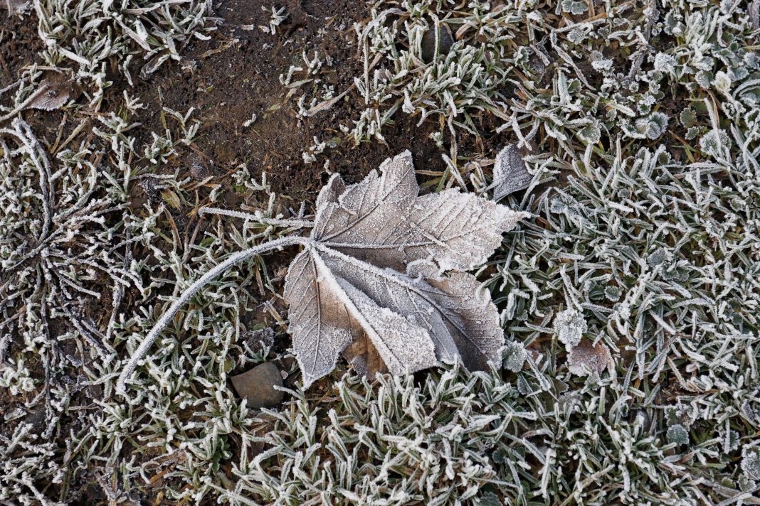 Bajas temperaturas